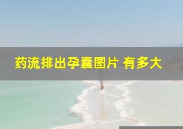 药流排出孕囊图片 有多大